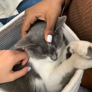 Meet your Posher, Maya